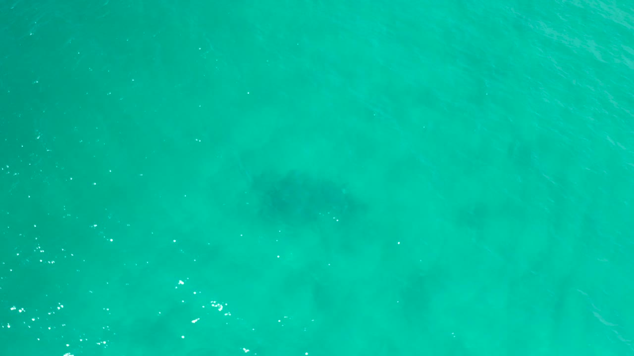 Overhead sea water in San Jose Del Cabo, Mexico, with mottled green-blue color, light ripple lines, foam specks, and no visible people.