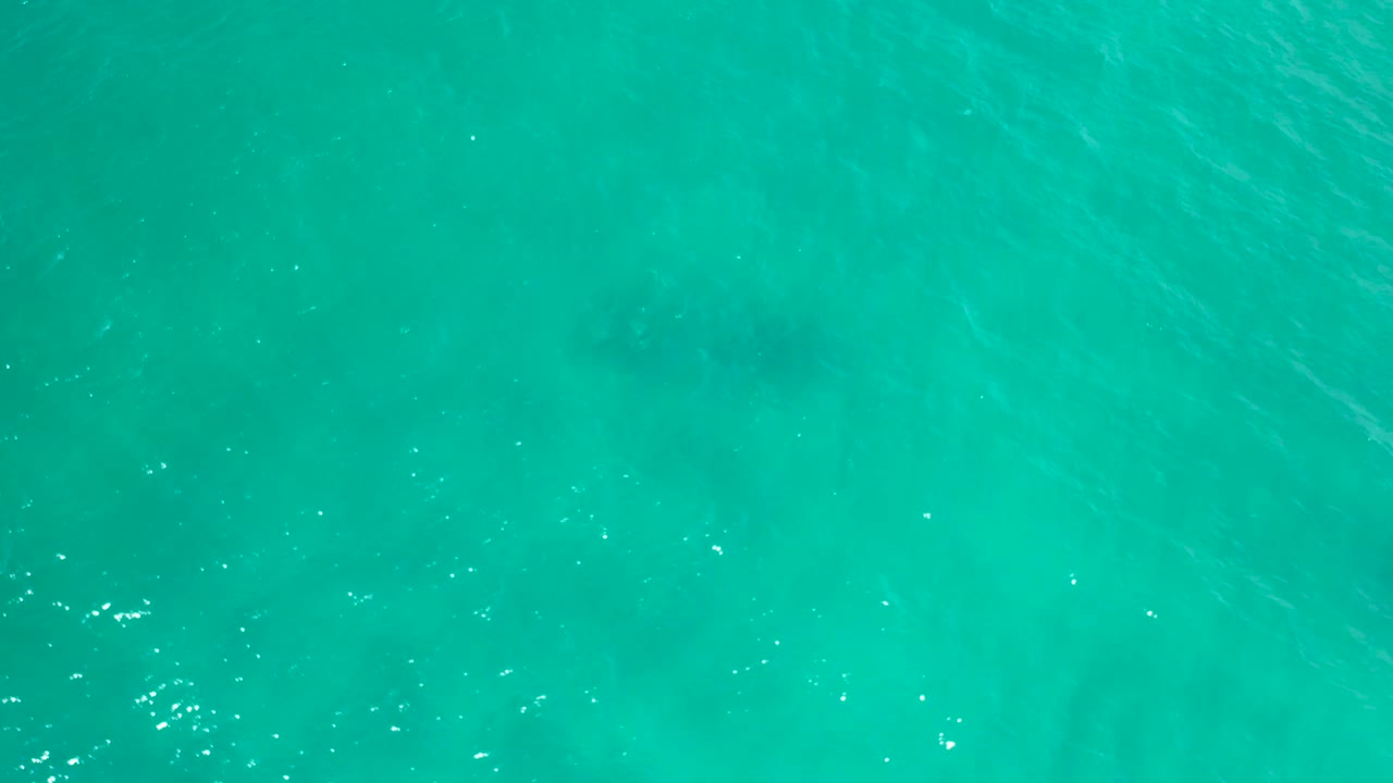 Clear green-blue water fills the San Jose del Cabo frame, with scattered white highlights across the surface and no visible people.