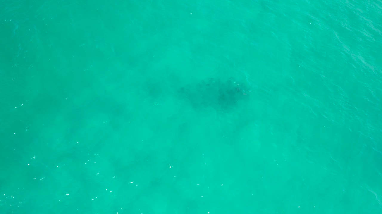 Overhead view of turquoise sea water in San Jose Del Cabo, Mexico, with faint underwater shadows and no visible people.