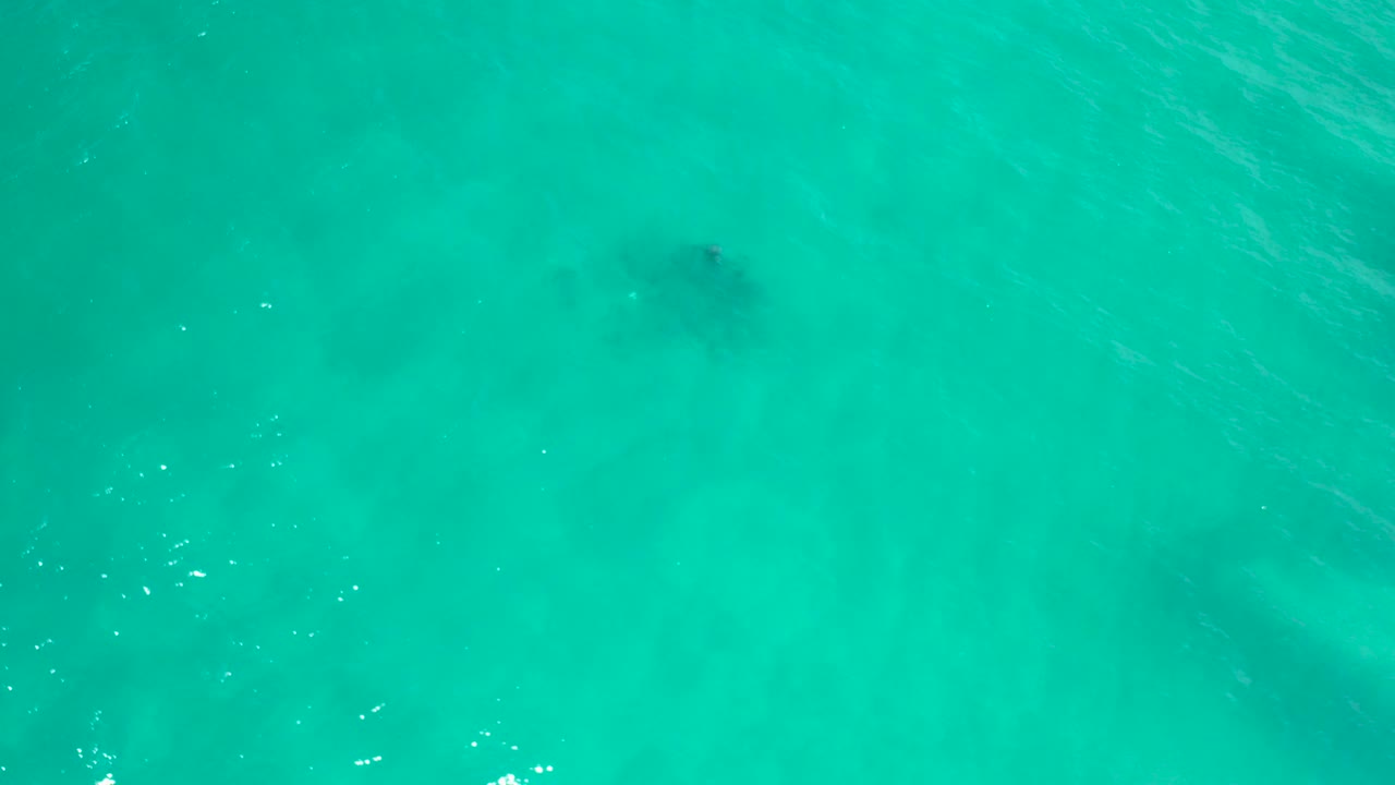 Turquoise water with a dark fish shape near the upper left