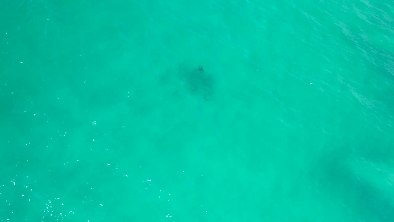 A dark fish shape sits under bright turquoise sea water in San Jose del Cabo, Mexico, with scattered sun flecks and no visible people.