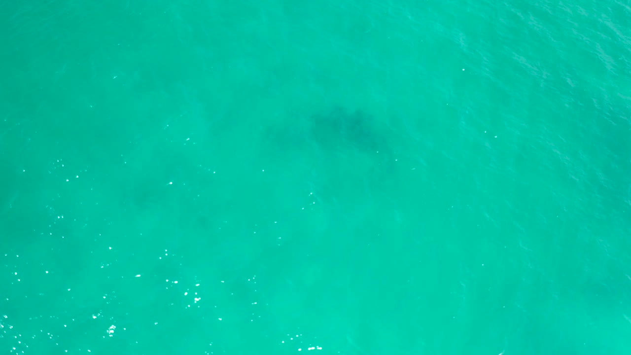 Turquoise ocean surface with a faint dark shape below