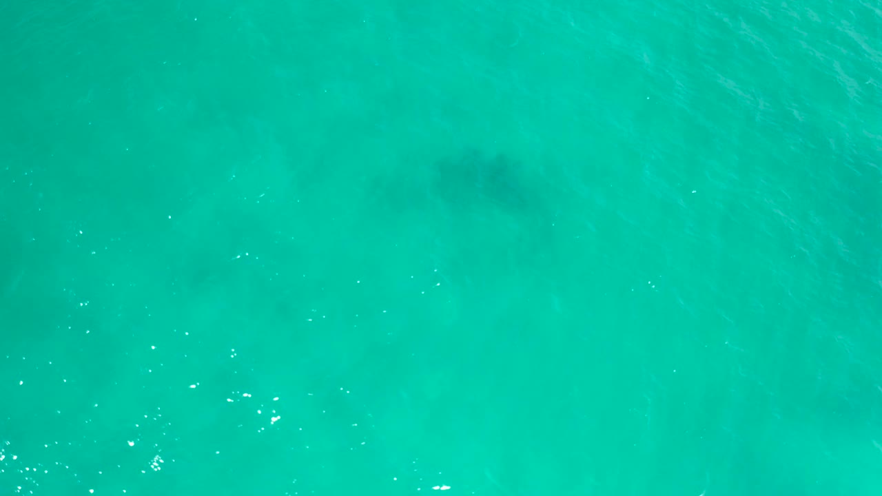 Overhead blue-green sea in San Jose Del Cabo, Mexico, with soft dark patches below the rippled surface and no visible people or shoreline.