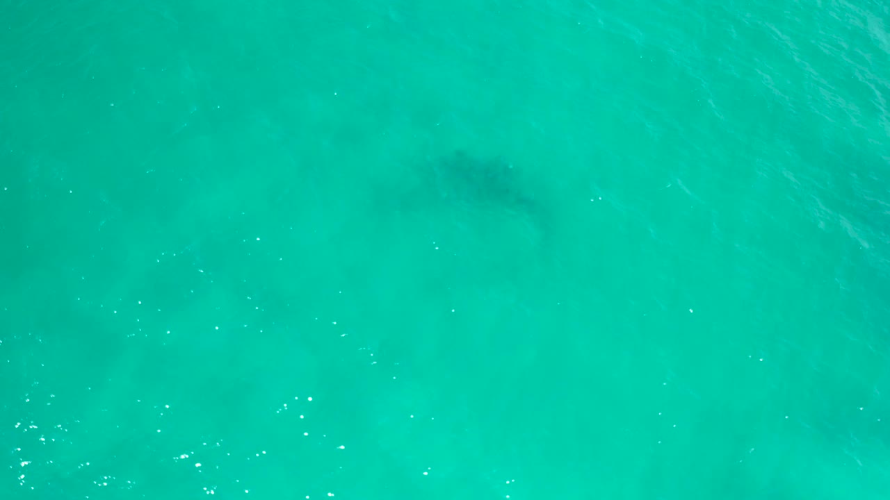 Turquoise ocean water in San Jose Del Cabo, Mexico, with a murky dark shape deeper below the surface and small bright highlights across the frame, no visible people.