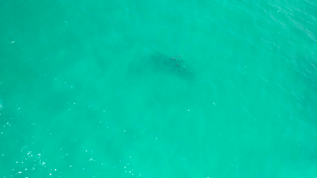 Straight-down view of rippling turquoise water in San Jose Del Cabo, Mexico, with a blurred dark underwater mark left of center and no visible people.