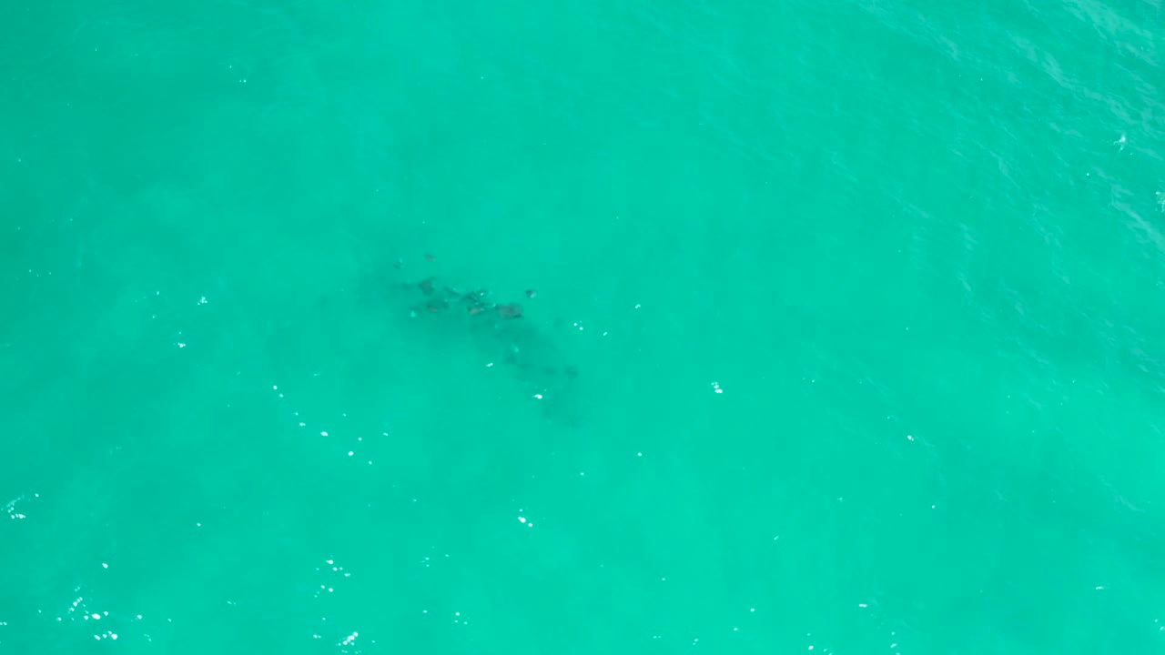 Aerial view of clear blue-green water in San Jose Del Cabo, Mexico, with a soft dark patch under the surface and no visible people.