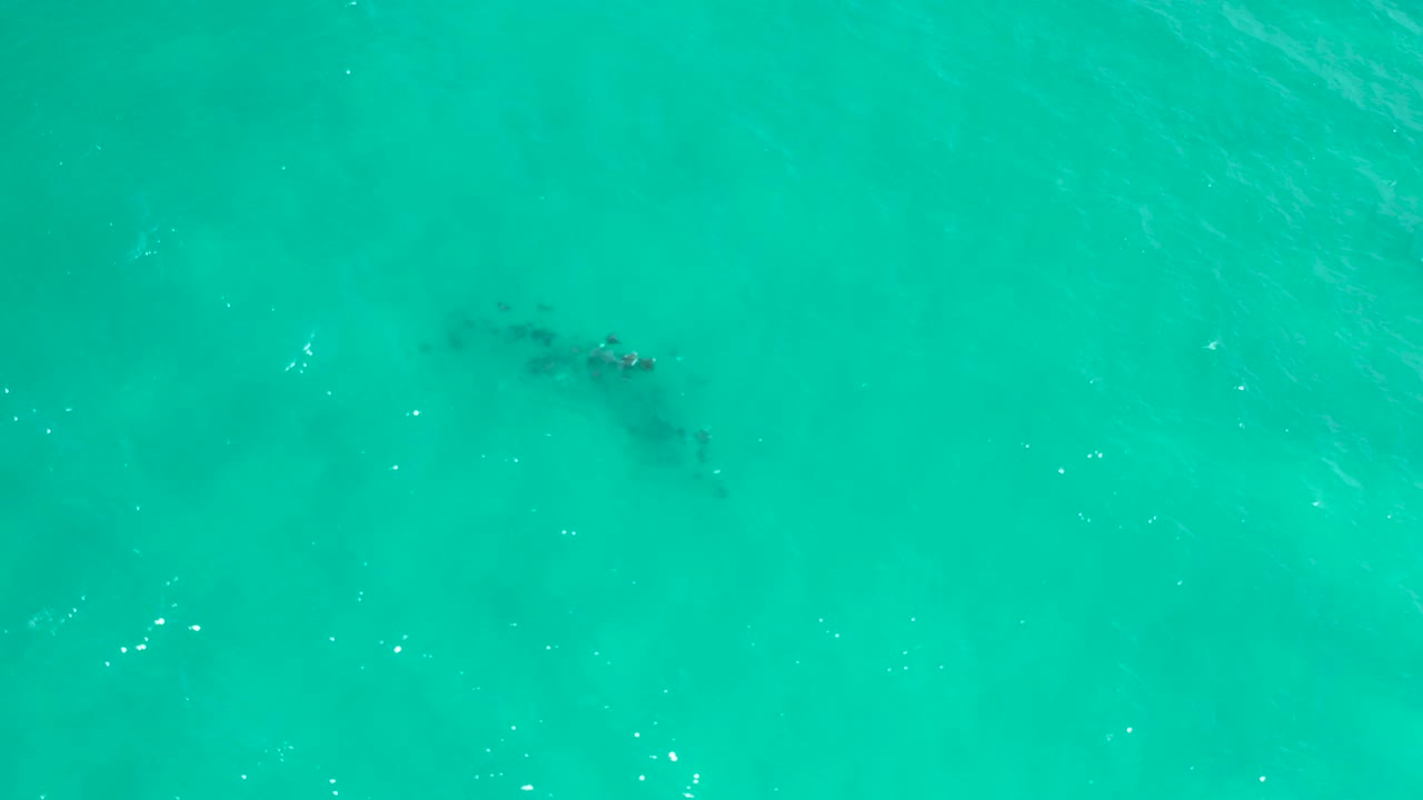 Drone-like top-down view of turquoise water in San Jose Del Cabo, Mexico, where a small dark submerged shape sits near the upper frame, with no visible people.