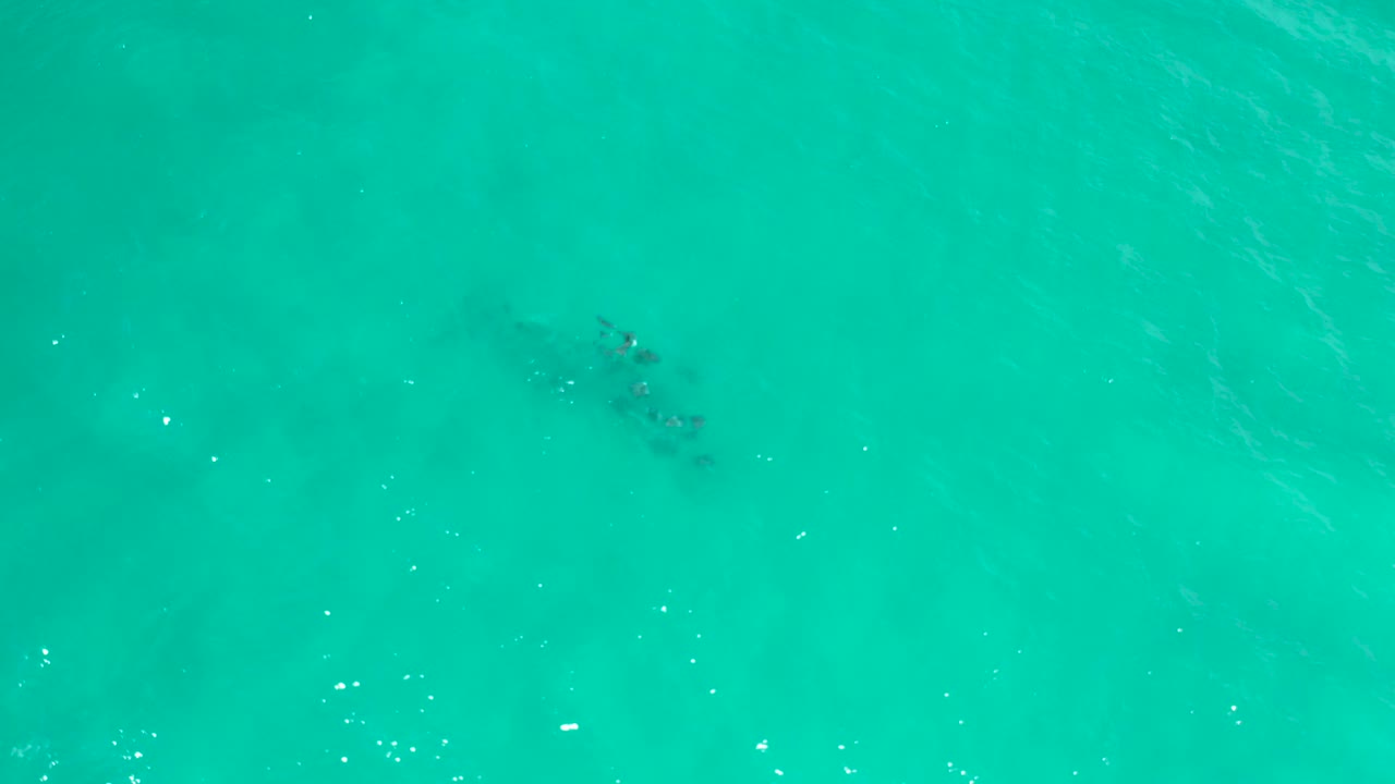 Top-down aerial frame over San Jose Del Cabo water with a darker submerged patch near the left edge and no visible people.