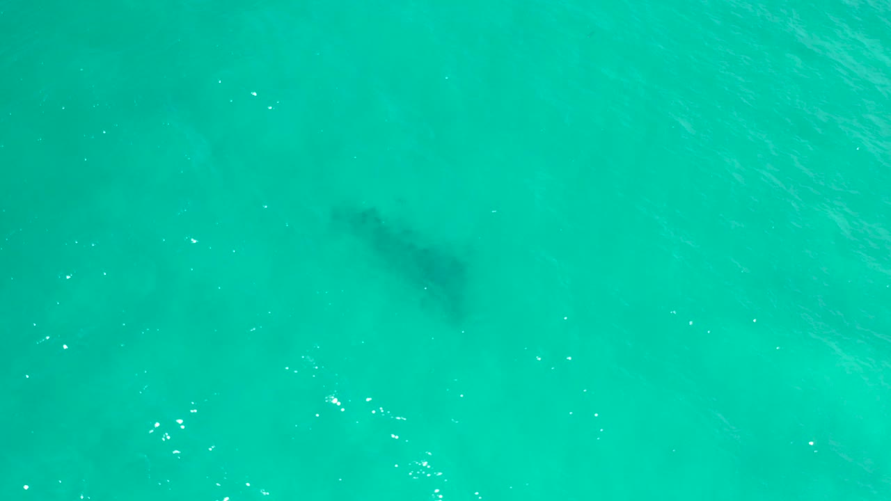 Turquoise ocean surface with a dark underwater shape.