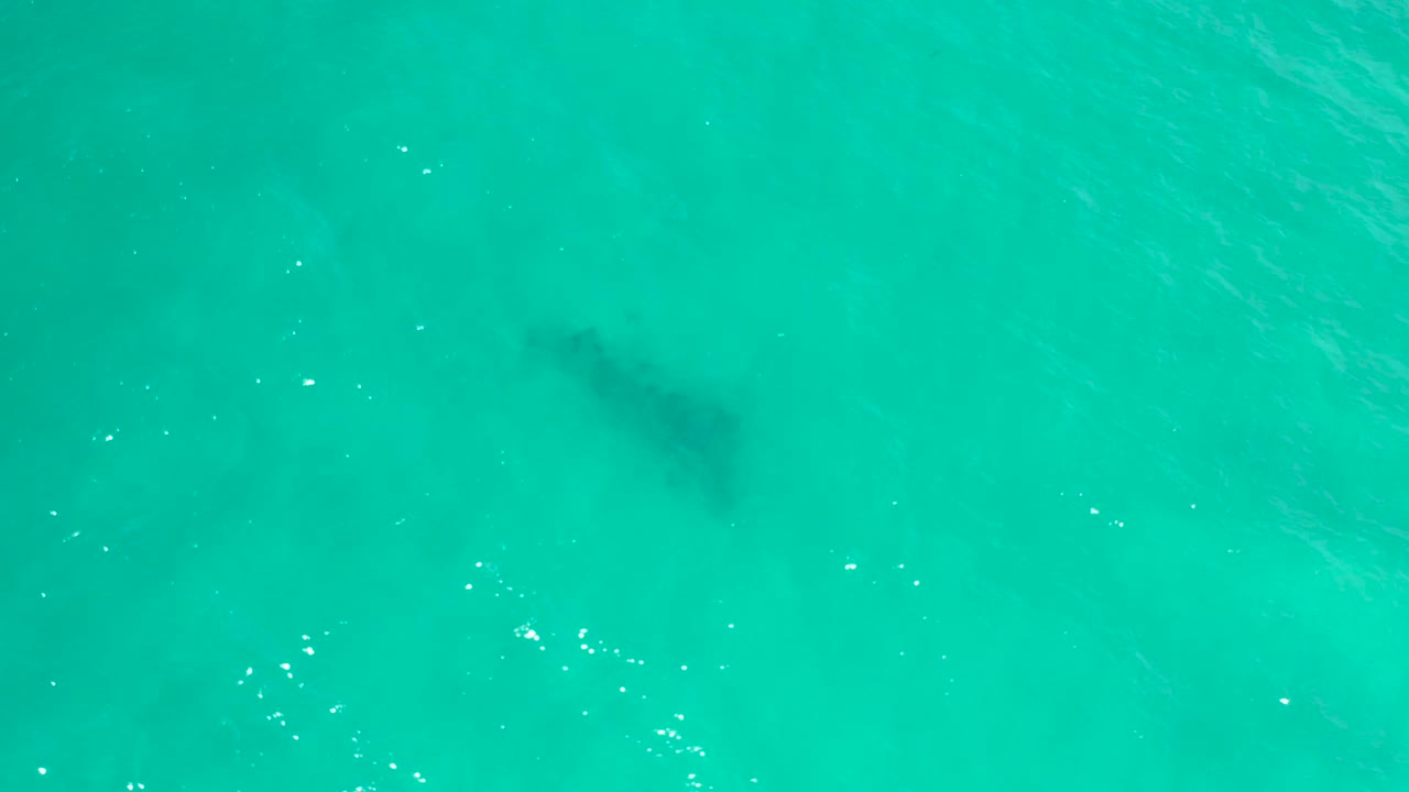Straight-down San Jose del Cabo water view with a blurred dark underwater shape slightly left of center, faint wave texture, and no visible people.