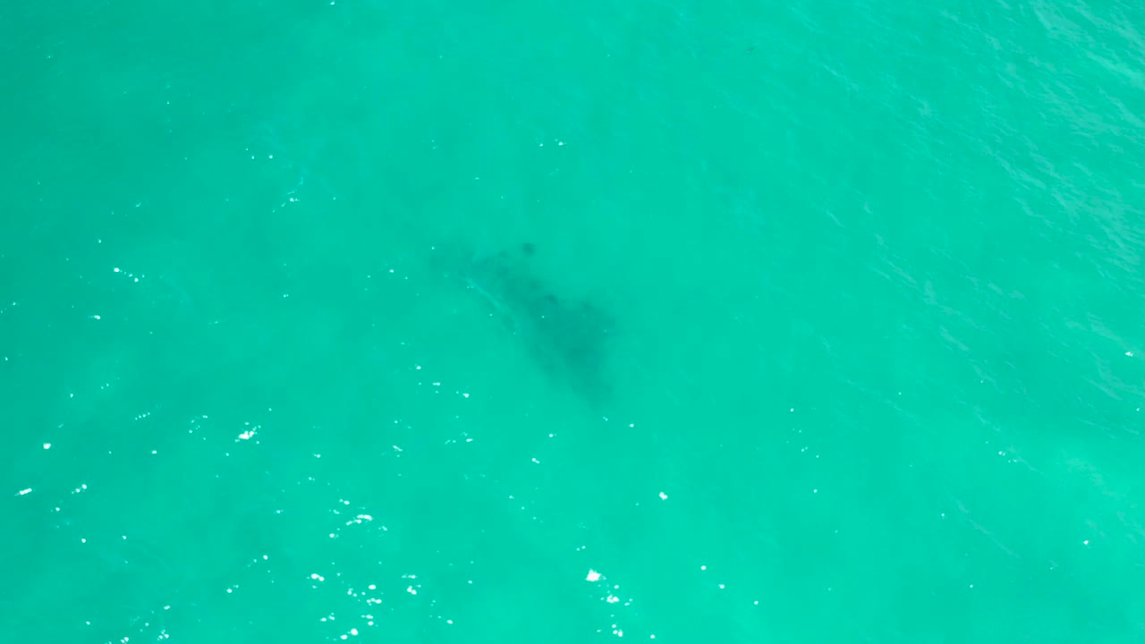 Overhead turquoise sea in San Jose del Cabo with the dark underwater patch visible near the upper middle area, small surface sparkles, and no visible people.