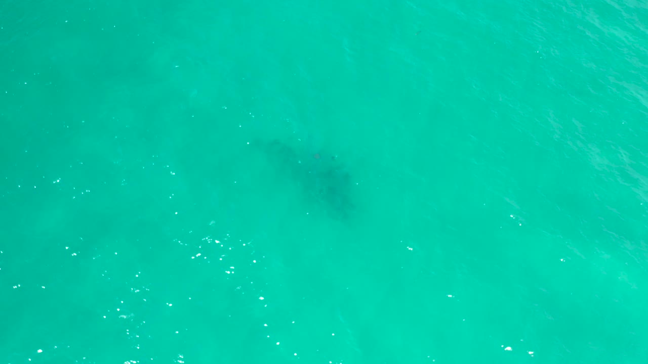 Aqua water in San Jose del Cabo fills the frame from a straight-down angle, with a softened dark underwater object and no visible people.