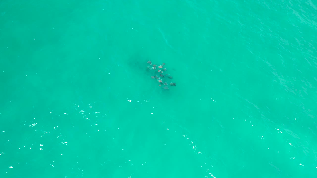 Overhead view of turquoise sea in San Jose Del Cabo with a compact dark underwater cluster near the upper left and no visible people.