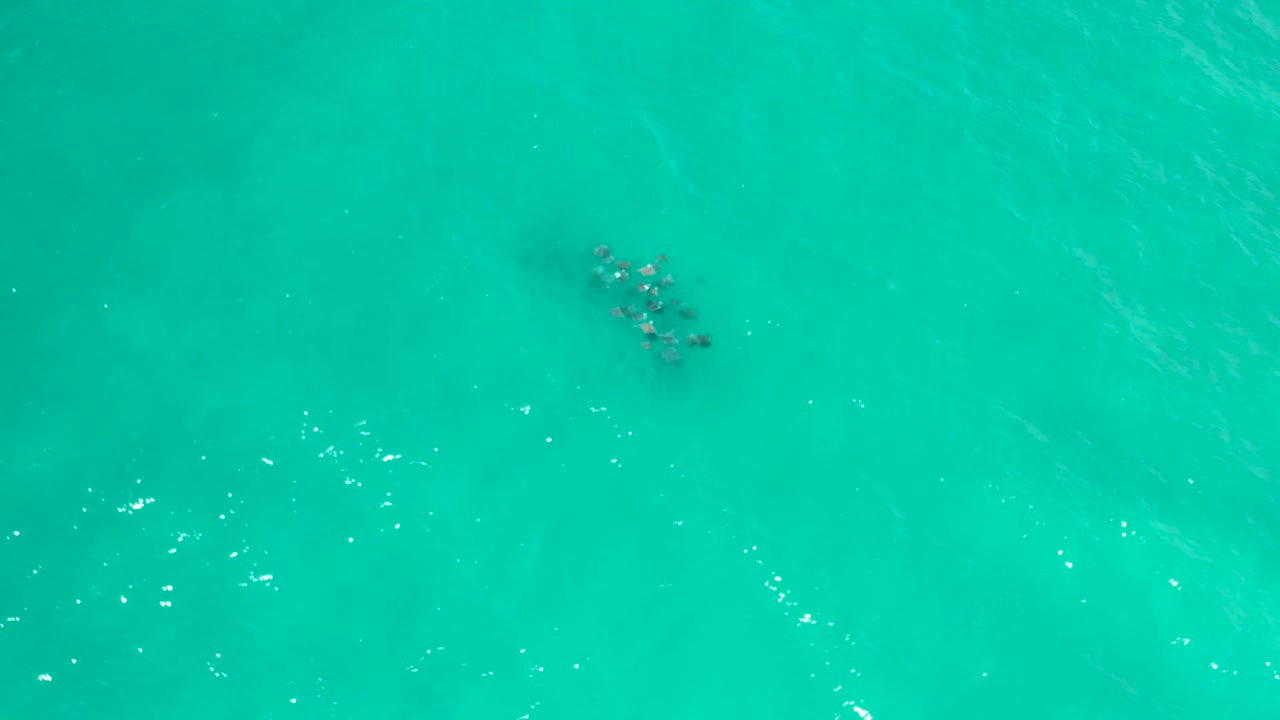 Top-down San Jose Del Cabo sea water with pale shallow areas, scattered white surface flecks, and a dark underwater mark near the upper center, no visible people.
