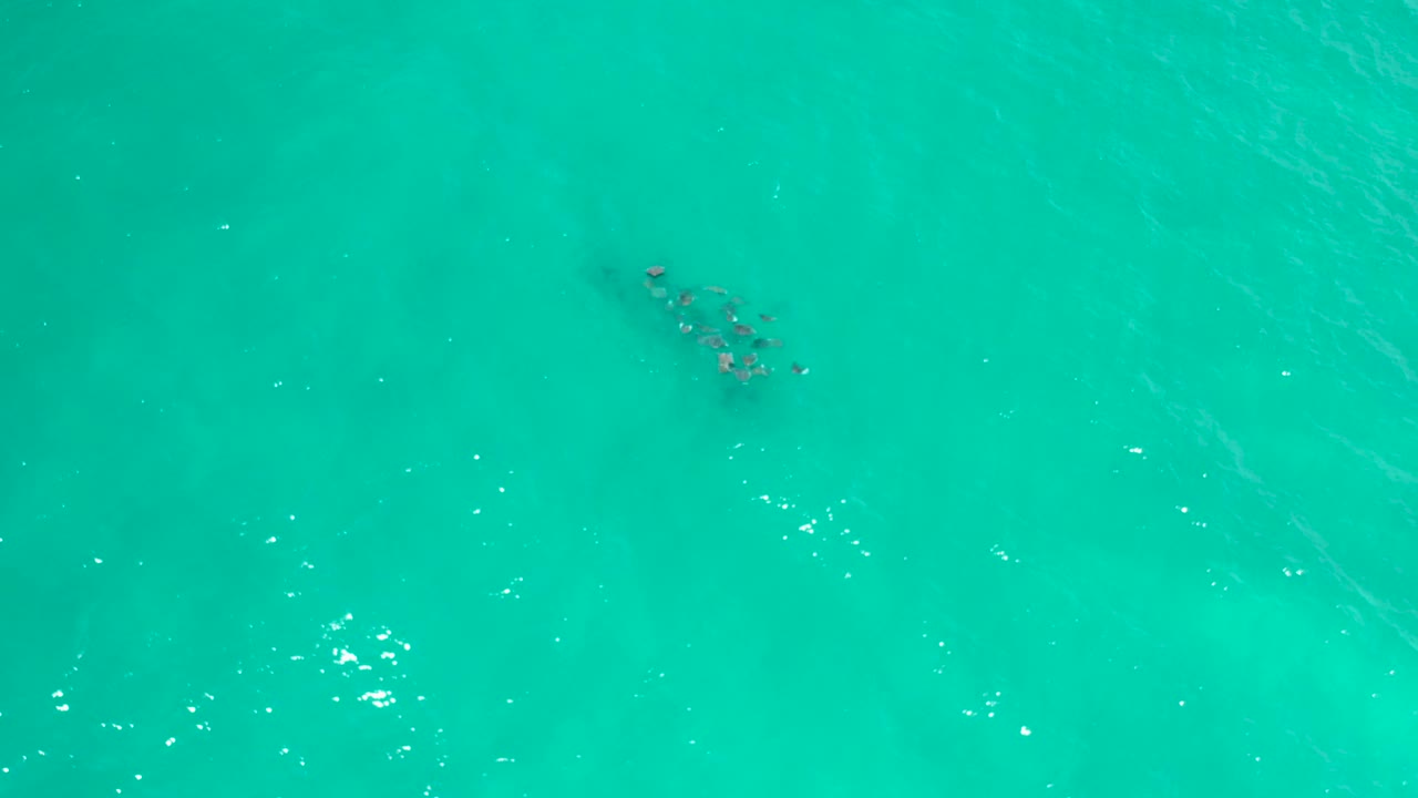Aerial view of blue-green sea in San Jose Del Cabo with a small dark submerged cluster toward the upper right and open water across the frame, no visible people.