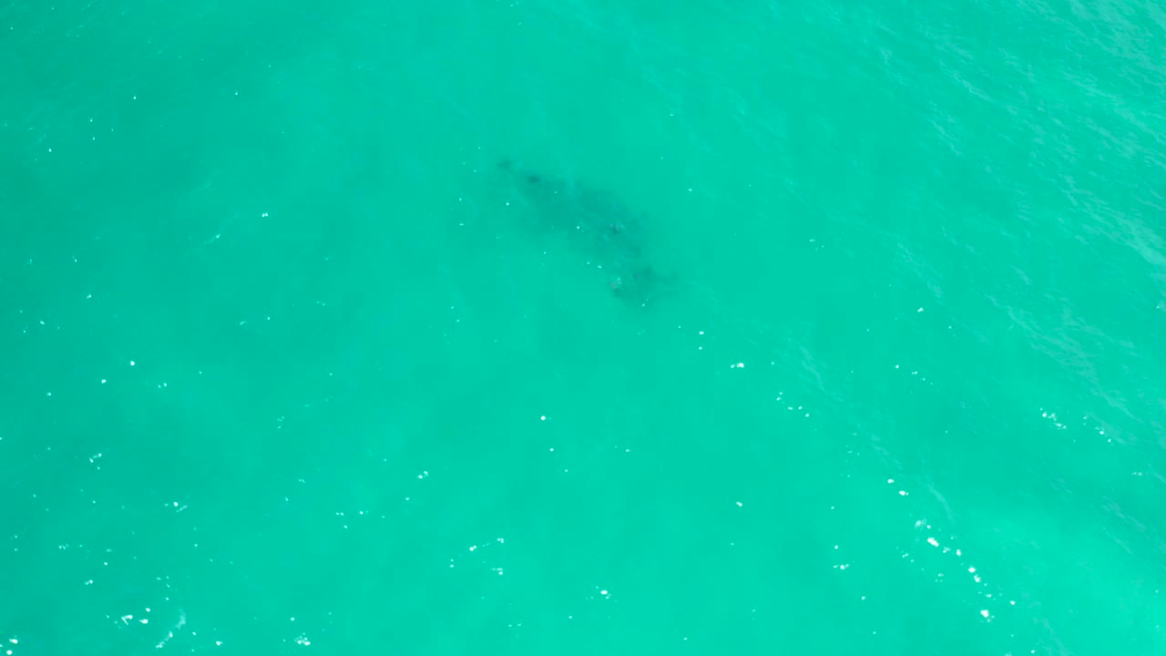 Top-down view of turquoise water in San Jose del Cabo, Mexico, with a faint dark underwater shape near the upper left and no visible people.