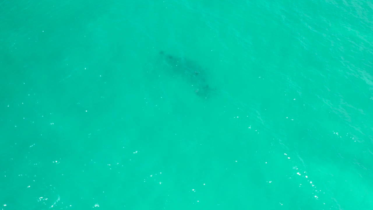 Bright turquoise water with a darker patch under the surface.