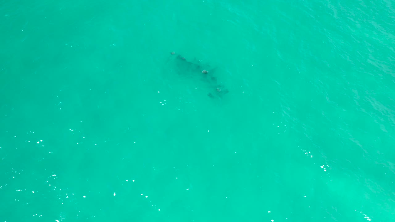 Aerial frame of San Jose del Cabo ocean water with a faint darker shape near the upper right and no visible people.