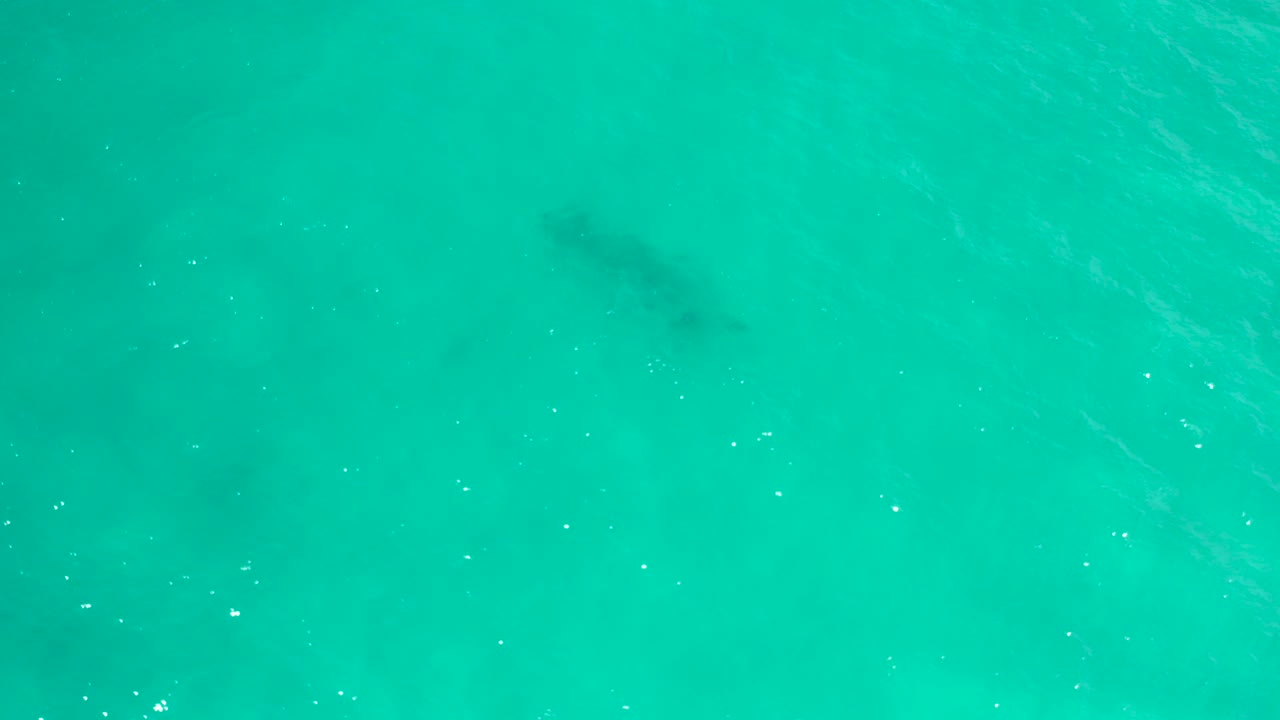 Overhead view of turquoise water in San Jose del Cabo with a soft dark shadow under the surface near the upper left and no visible people.