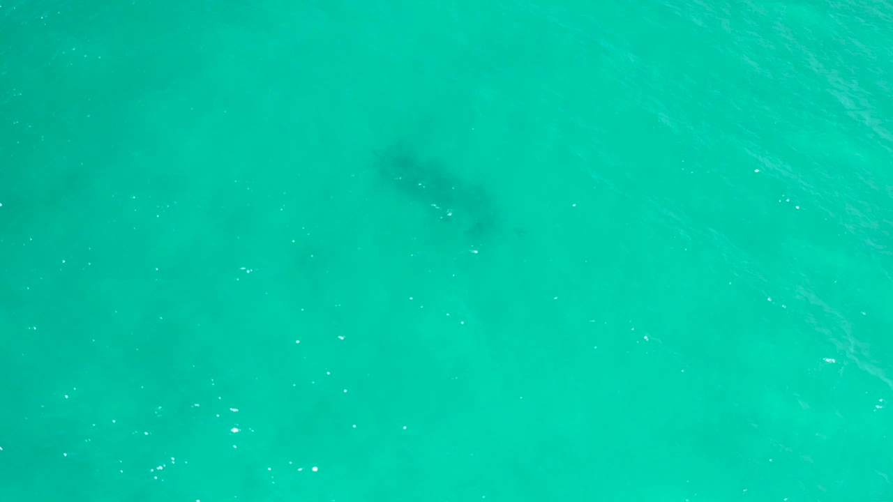 A downward view over turquoise San Jose del Cabo water shows a blurred dark patch under the surface and fine wind ripples, with no visible people.