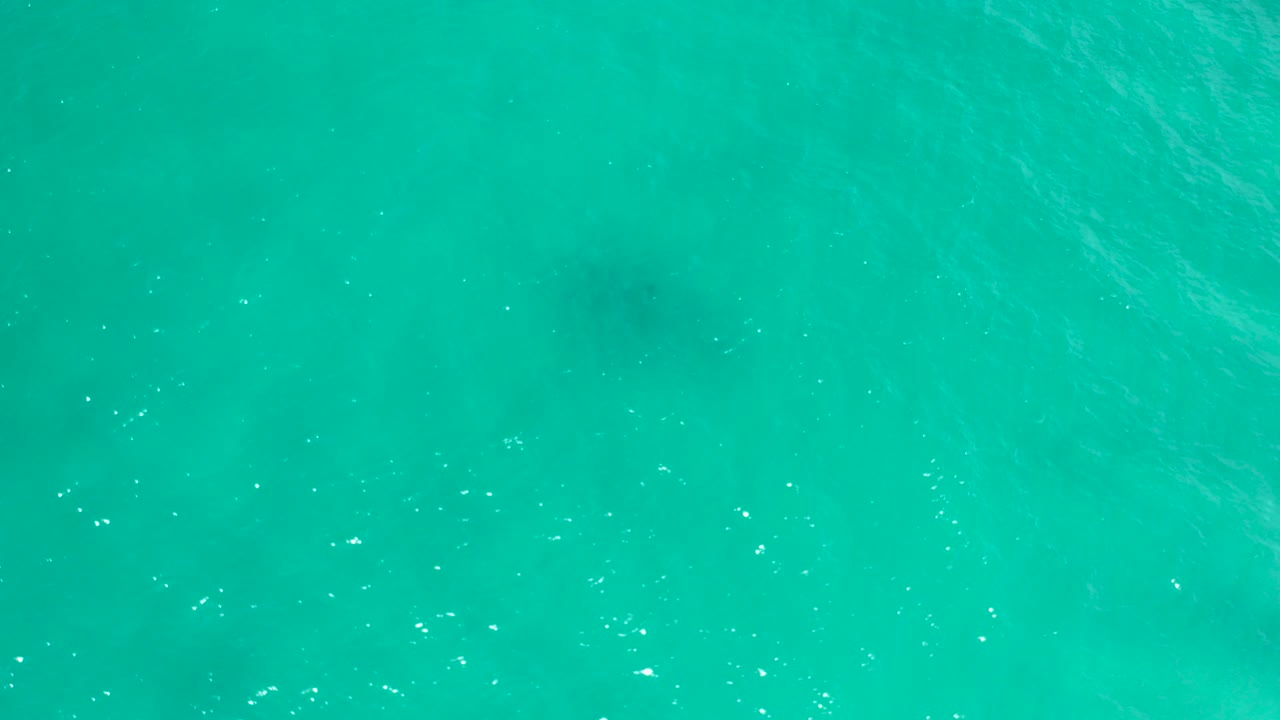 Overhead view of turquoise ocean water in San Jose Del Cabo, Mexico, with scattered sun glints and no visible people.