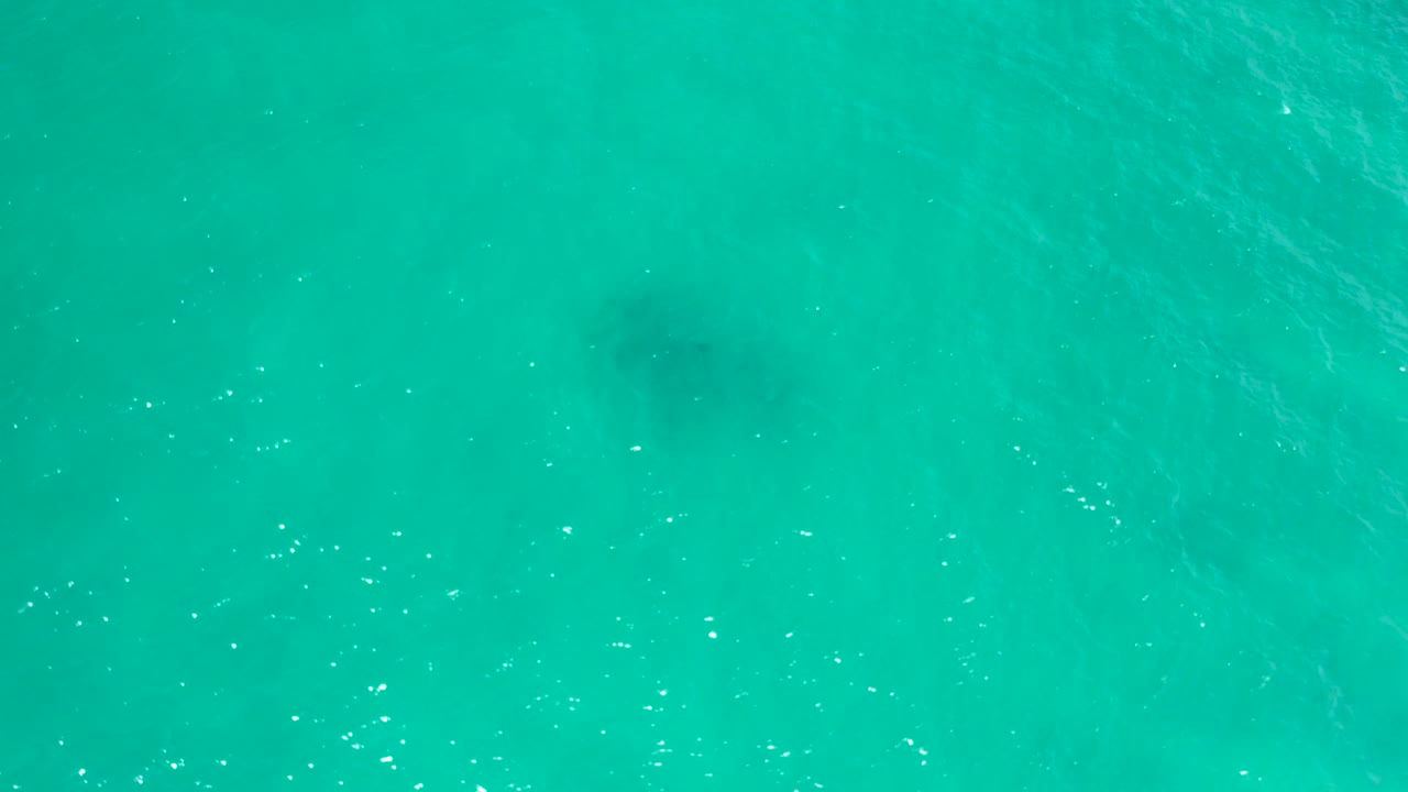 Sunlit turquoise sea surface in San Jose Del Cabo, Mexico, with fine ripples, scattered white highlights, and no visible people.