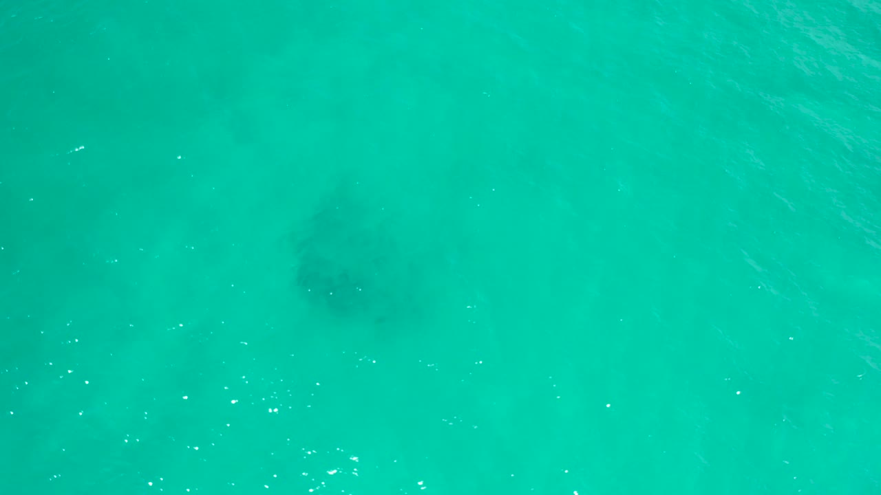 Overhead turquoise water in San Jose Del Cabo, Mexico with small dark underwater shapes near the left side and no visible people.
