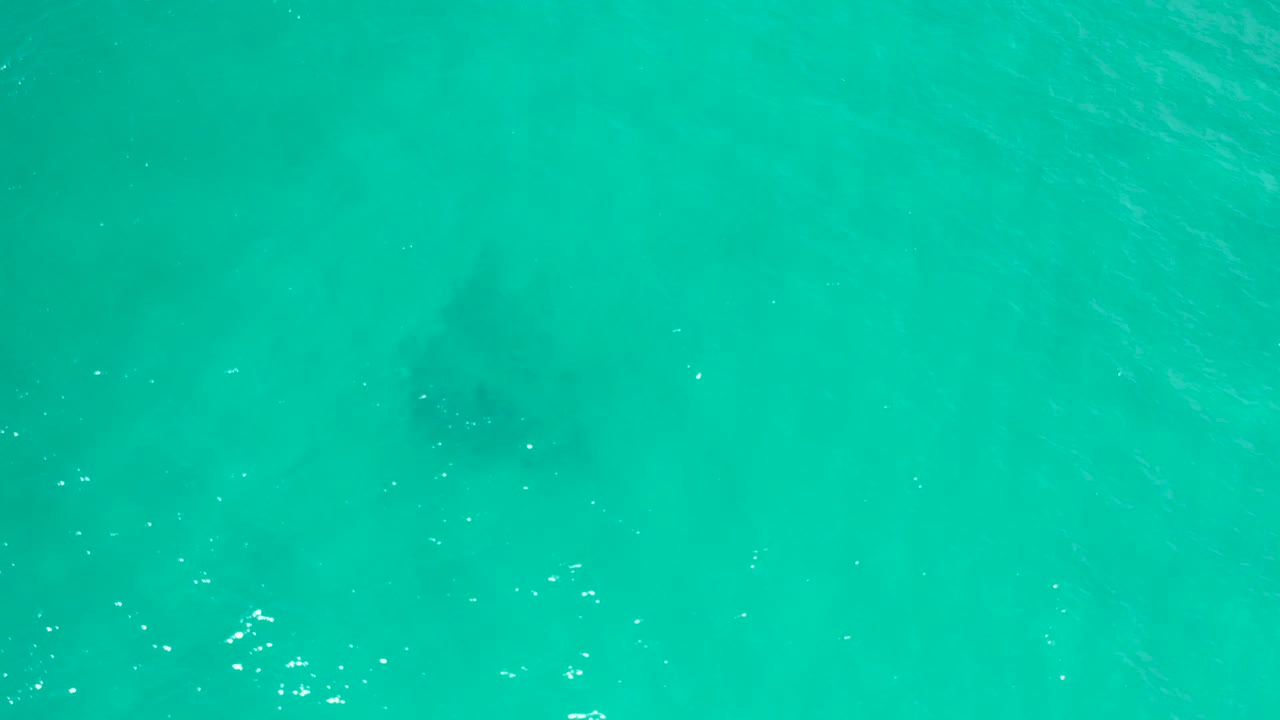 Top-down San Jose Del Cabo water frame with bright surface glints across the middle and faint darker shapes below, with no visible people.