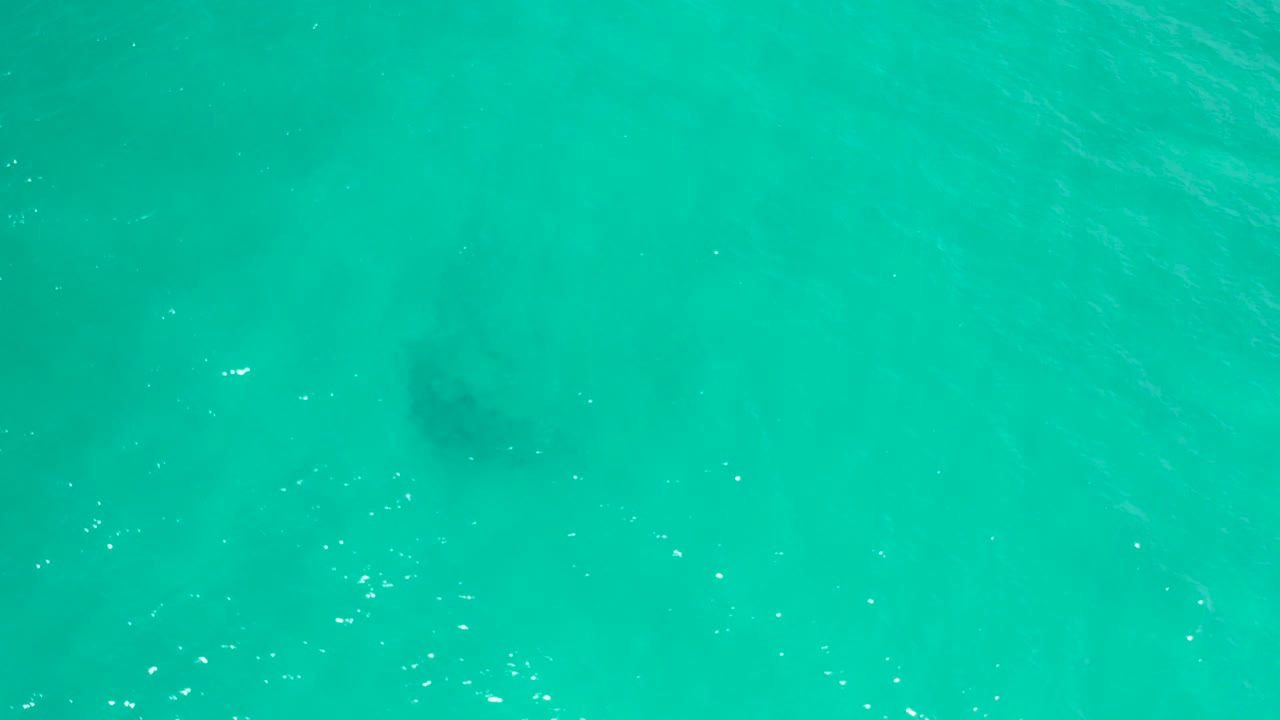 Overhead view of San Jose Del Cabo turquoise water where a dark underwater shape sits near the lower left beneath light surface texture, with no visible people.
