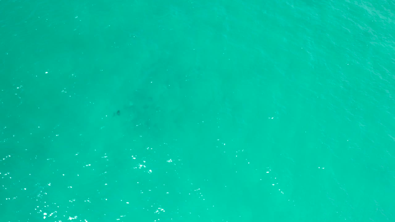 Overhead turquoise ocean water with small sun glints.