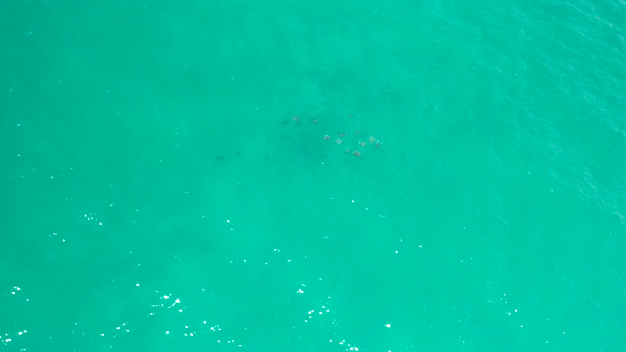 Top-down view of turquoise-green sea water in San Jose Del Cabo with scattered white sun flecks, faint darker patches beneath the surface, and no visible people.