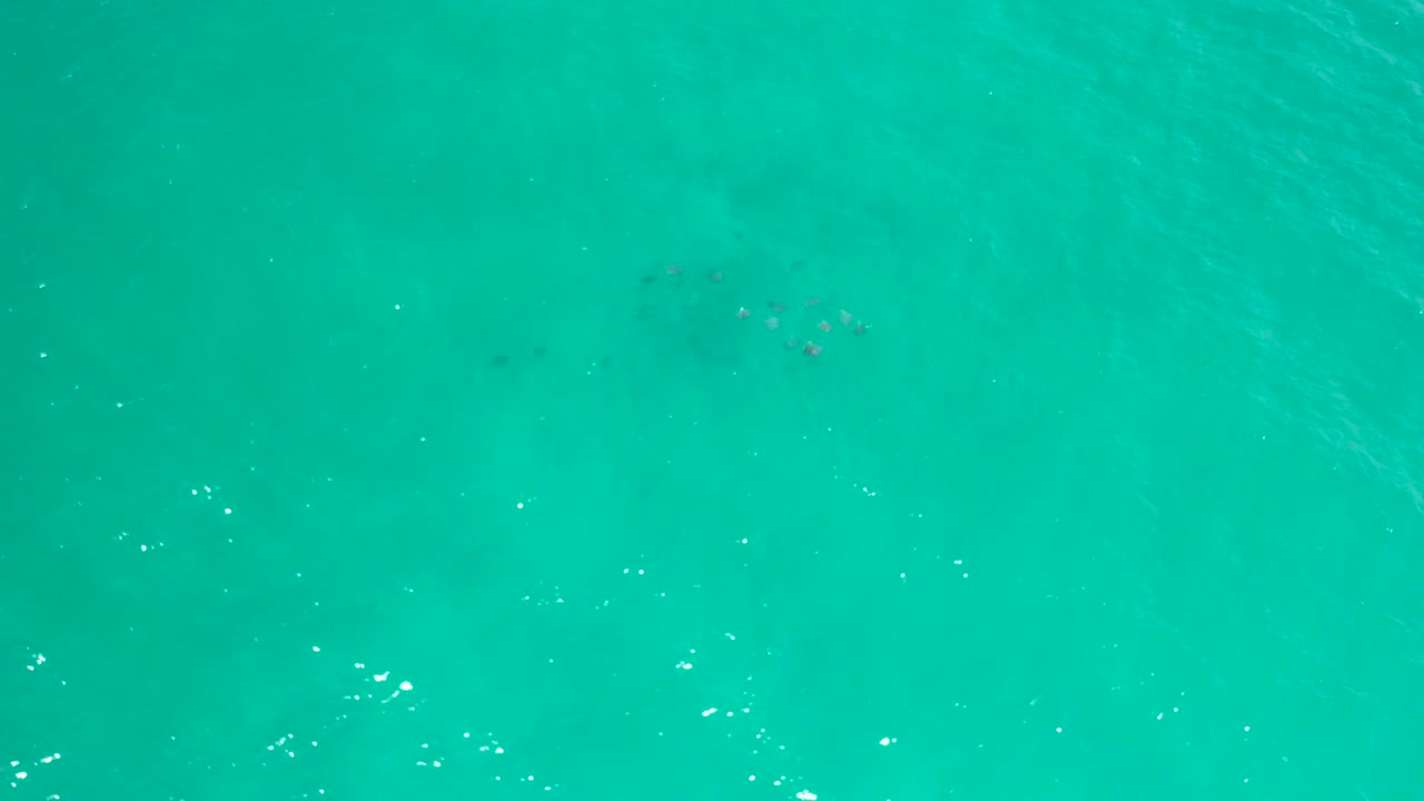 Aerial frame over green-blue sea water in San Jose Del Cabo, showing subtle ripple lines, scattered sparkle points, and no visible people or shoreline.