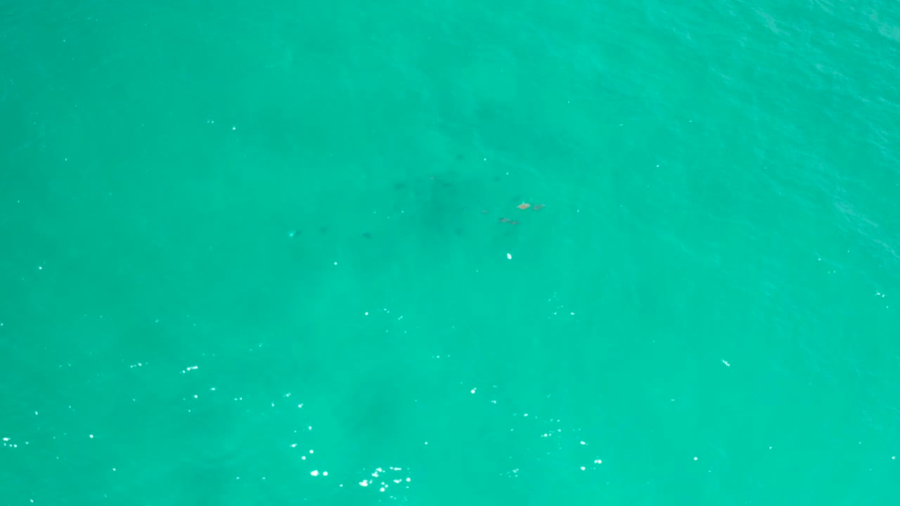 Top-down San Jose Del Cabo sea surface with turquoise color, fine wave texture, small white highlights, and no visible people, boats, or land.