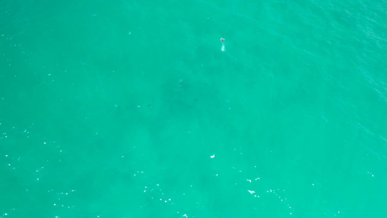 Small splash or fish break on green water near the left side.