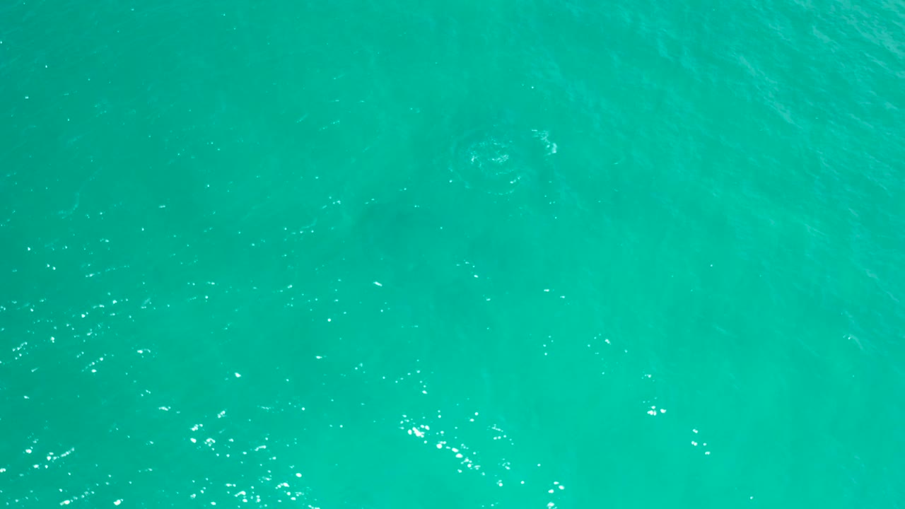 Clear blue-green ocean water in San Jose Del Cabo, Mexico shows scattered white highlights across a mostly open surface with no visible people.