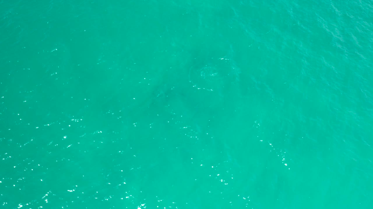 Bright turquoise water in San Jose Del Cabo, Mexico covers the frame, with faint darker patches below the surface and no visible people.