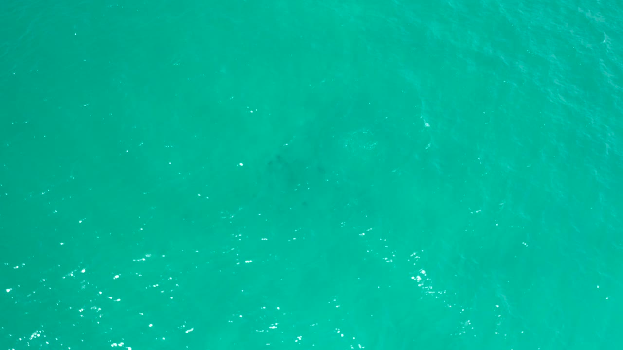 A slightly darker turquoise section of San Jose Del Cabo ocean water fills the frame, with soft ripple texture and no visible people.