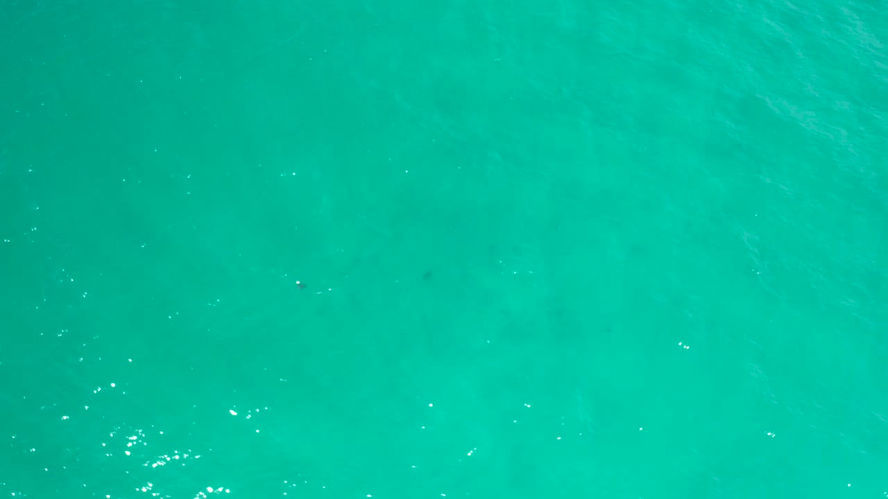 Open blue-green water in San Jose del Cabo, Mexico, seen from above with scattered bright flecks across the surface and no visible people.