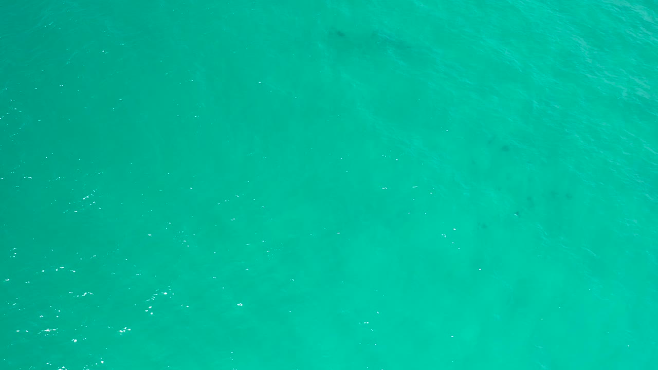 Clear blue water in San Jose Del Cabo shows subtle underwater color variation and scattered white surface highlights, with no visible people.