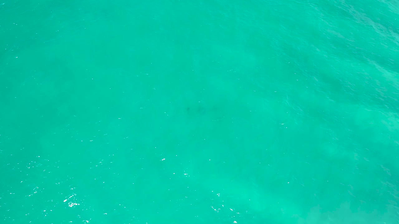 Top-down view of turquoise ocean water in San Jose Del Cabo, Mexico, with soft pale patches below the surface and no visible people.