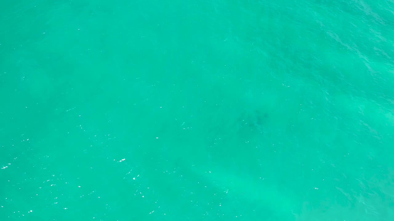 Green-turquoise water fills the frame in San Jose Del Cabo, Mexico, with a soft dark patch near the lower area and no visible people.