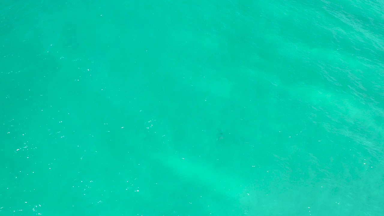 Overhead view of turquoise water in San Jose Del Cabo, Mexico, with wind ripples, pale underwater patches, and no visible people.