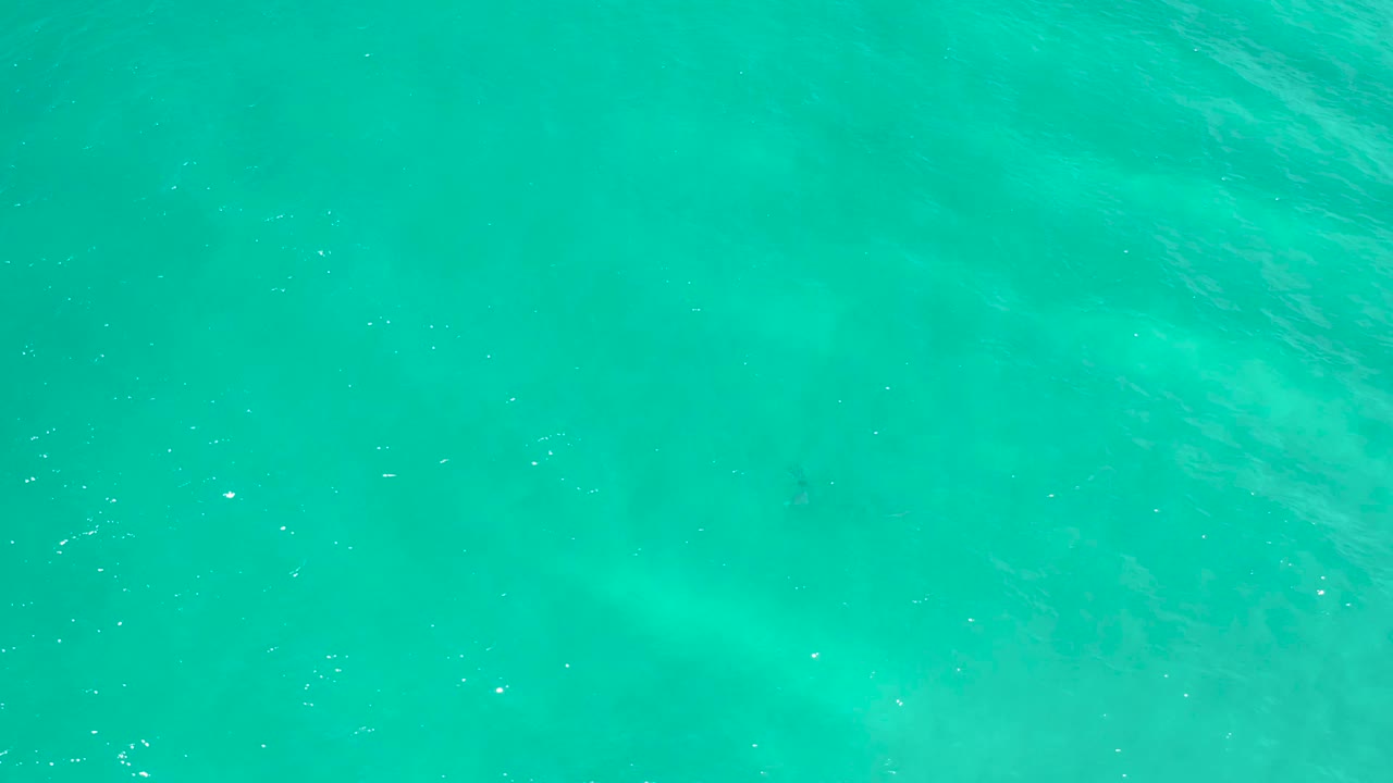 Clear blue-green San Jose Del Cabo water with surface shimmer, cloudy pale sand color beneath, faint dark underwater shapes, and no visible people.