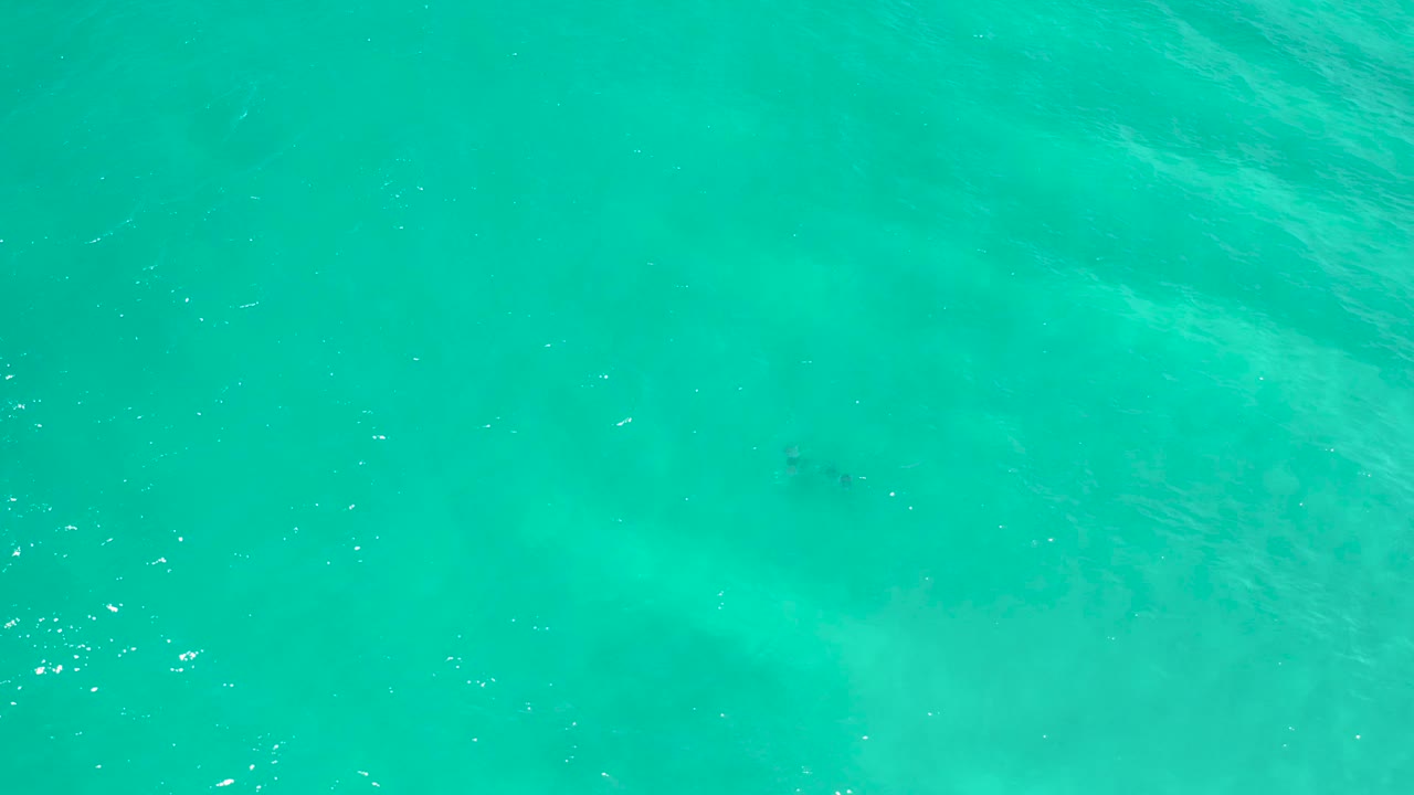 Bright turquoise ocean surface in San Jose Del Cabo with scattered white highlights, soft subsurface color shifts, and no visible people.