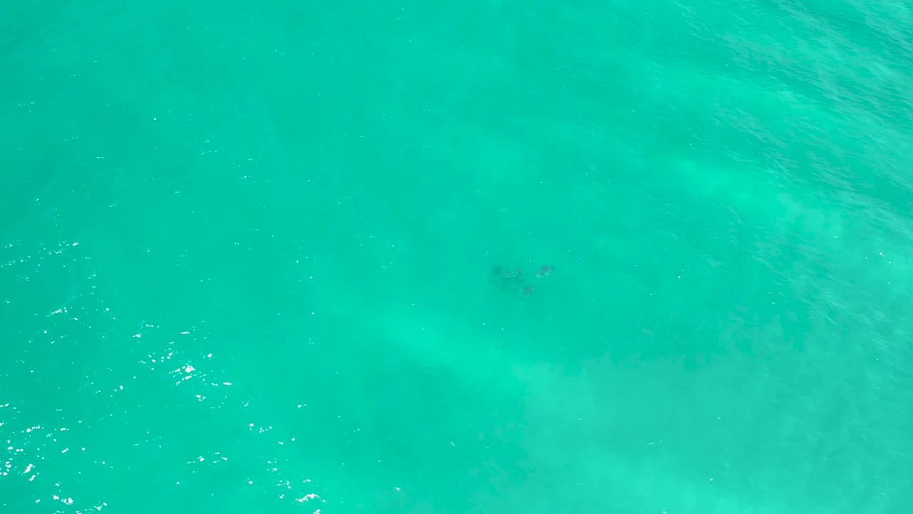 Rippled turquoise shallows in San Jose Del Cabo with pale sand tones, one small dark fish-like shape below the surface, and no visible people.