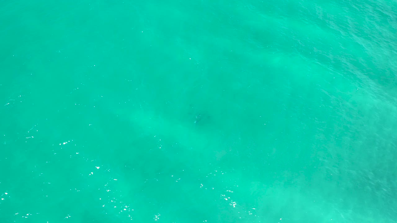 Turquoise shallow sea water with faint foam and sun sparkles.