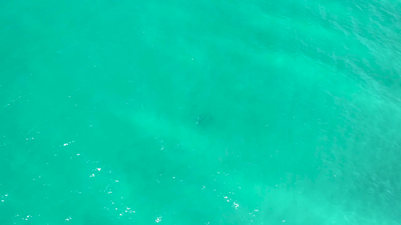 Clear blue-green sea water in San Jose Del Cabo, Mexico, with a pale cloudy foam area spreading through the lower frame and no visible people.