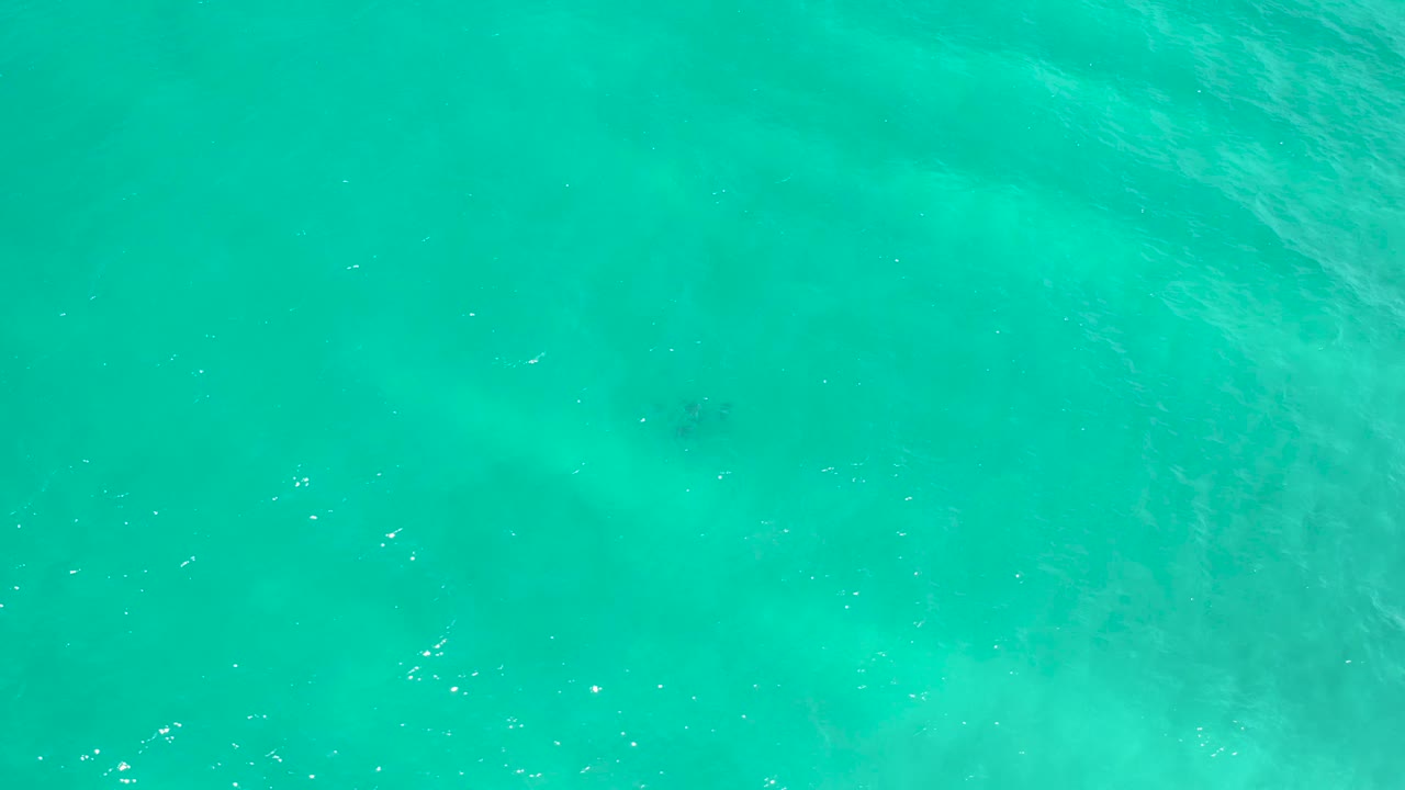 Bright turquoise sea surface in San Jose Del Cabo, Mexico, with scattered white sparkles, faint darker underwater patches, and no visible people.