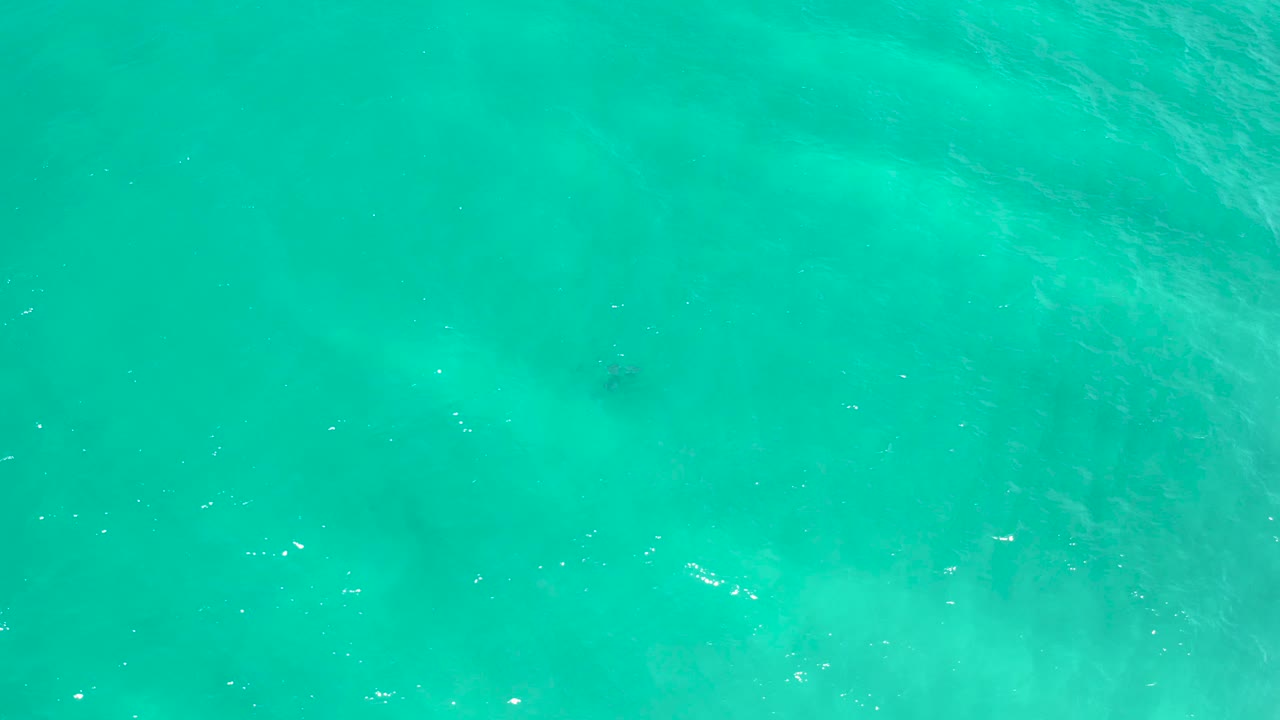 Shallow aqua water in San Jose Del Cabo, Mexico, with a diagonal pale wash of foam and suspended sand crossing the frame, with no visible people.