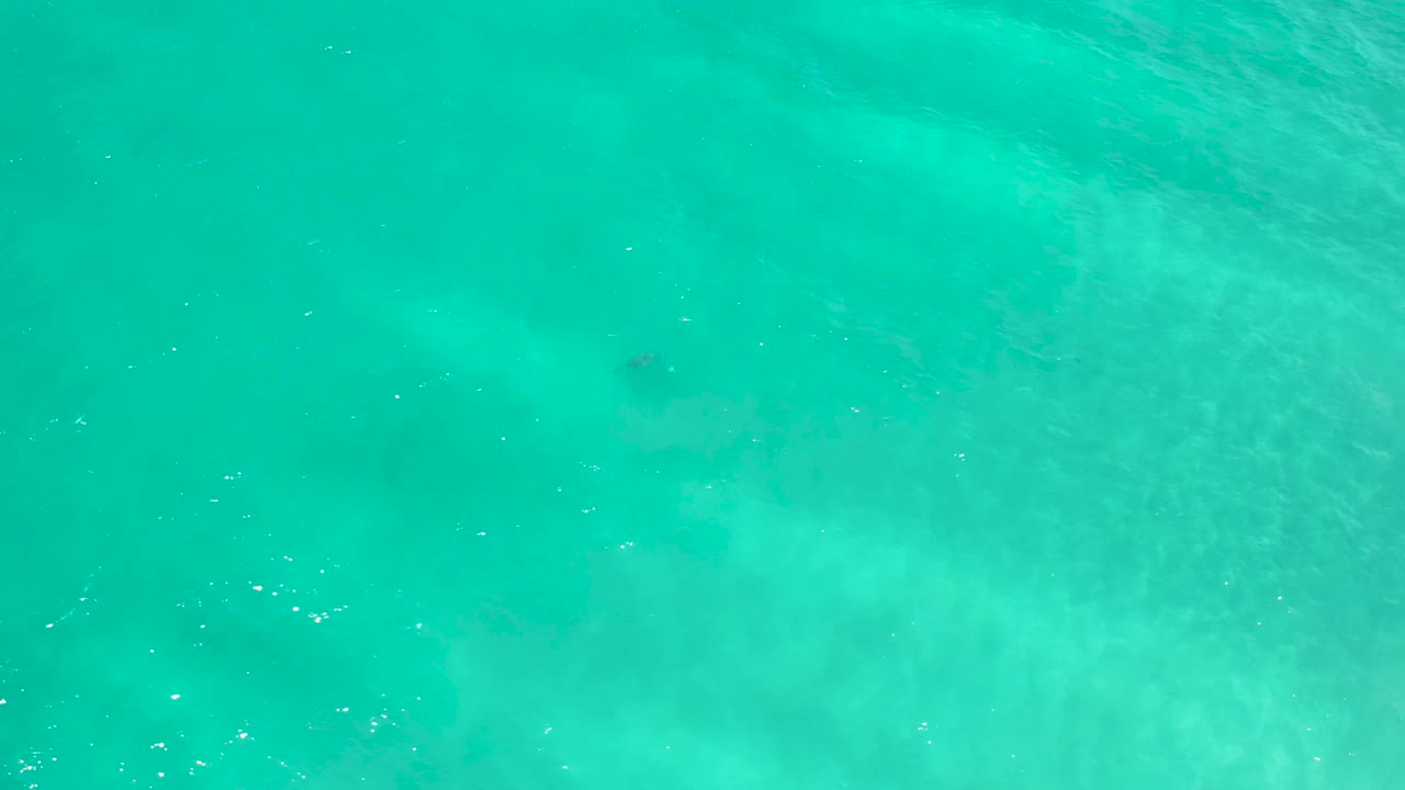 Turquoise sea surface in San Jose Del Cabo, Mexico, with soft pale patches below the water and no visible people.